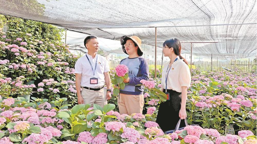 福安市纪委监委聚焦乡村振兴领域不正之风和腐败问题