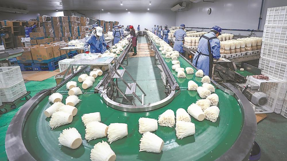福建乾顺生物科技有限公司二期自动化生产车间里一派忙碌景象