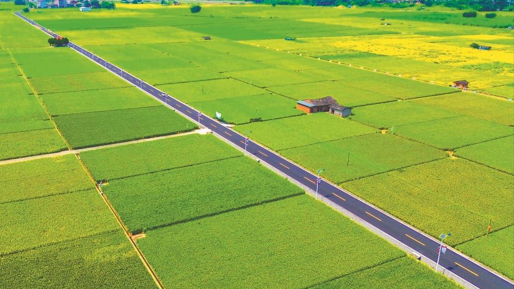 提升改建后的三明市沙县区夏茂至儒元乡村公路