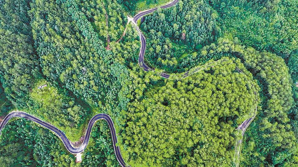 绿道织锦 古城焕新