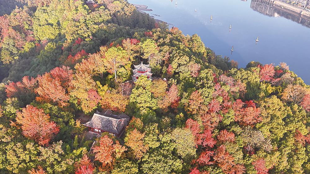 邵武市熙春山色彩斑斓的树叶与古朴的历史遗迹相映成趣