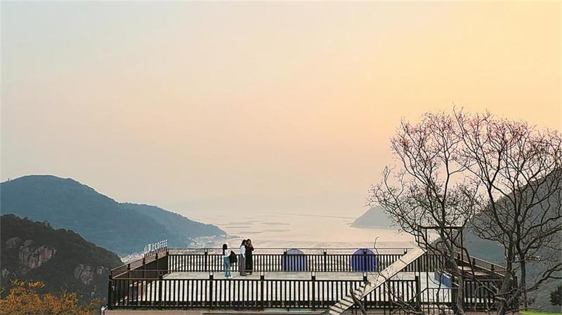 山顶飘出咖啡香