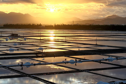 Fujian salt pans dazzle in summer harvest