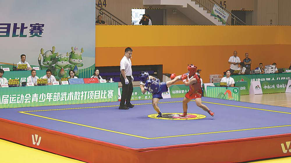 省运会青少年部武术散打项目开赛